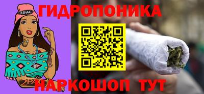 сатива Вышний Волочёк