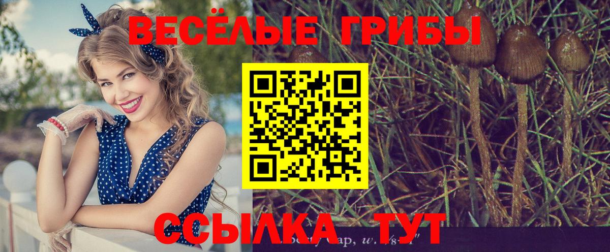 Малгобек  Псилоцибиновые грибы Magic Shrooms  Вход с VPN 